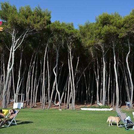 Foce del Sele Bau Bau Beach Village מראה חיצוני תמונה